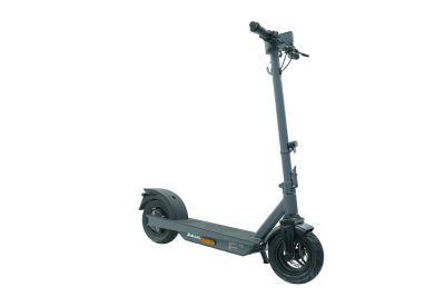 Trittbrett E-Scooter ,,Paul Light Edition" 20 km/h E-Roller